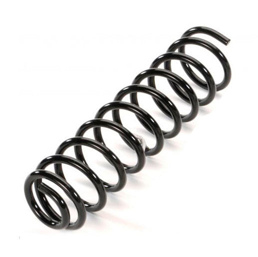 Rear Springs + 2cm - Unit