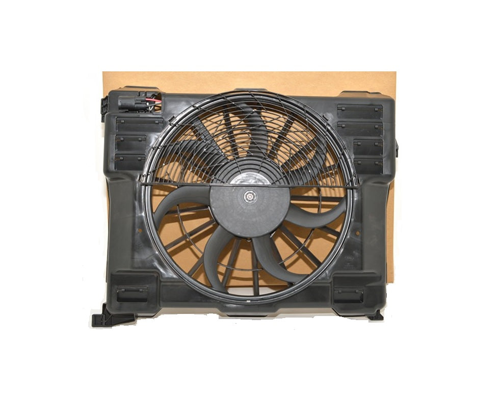 Fan with Motor